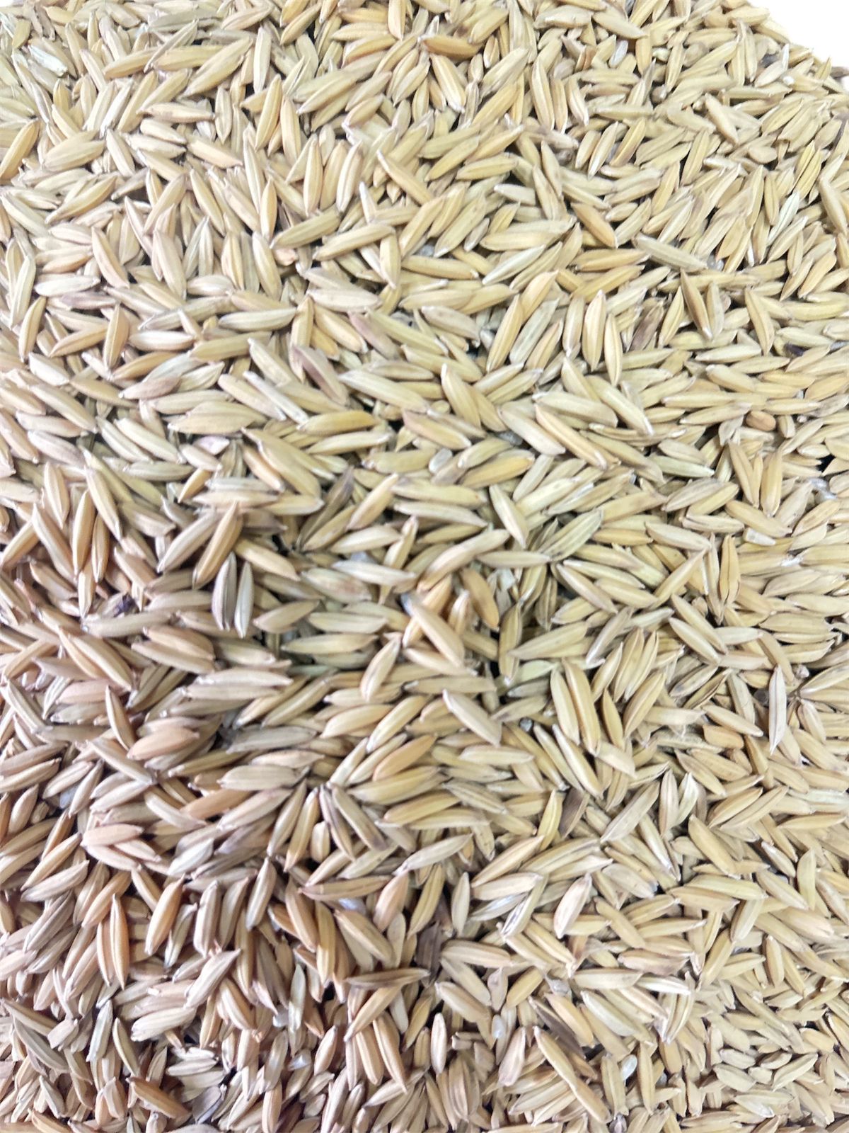 Arroz com Casca kg