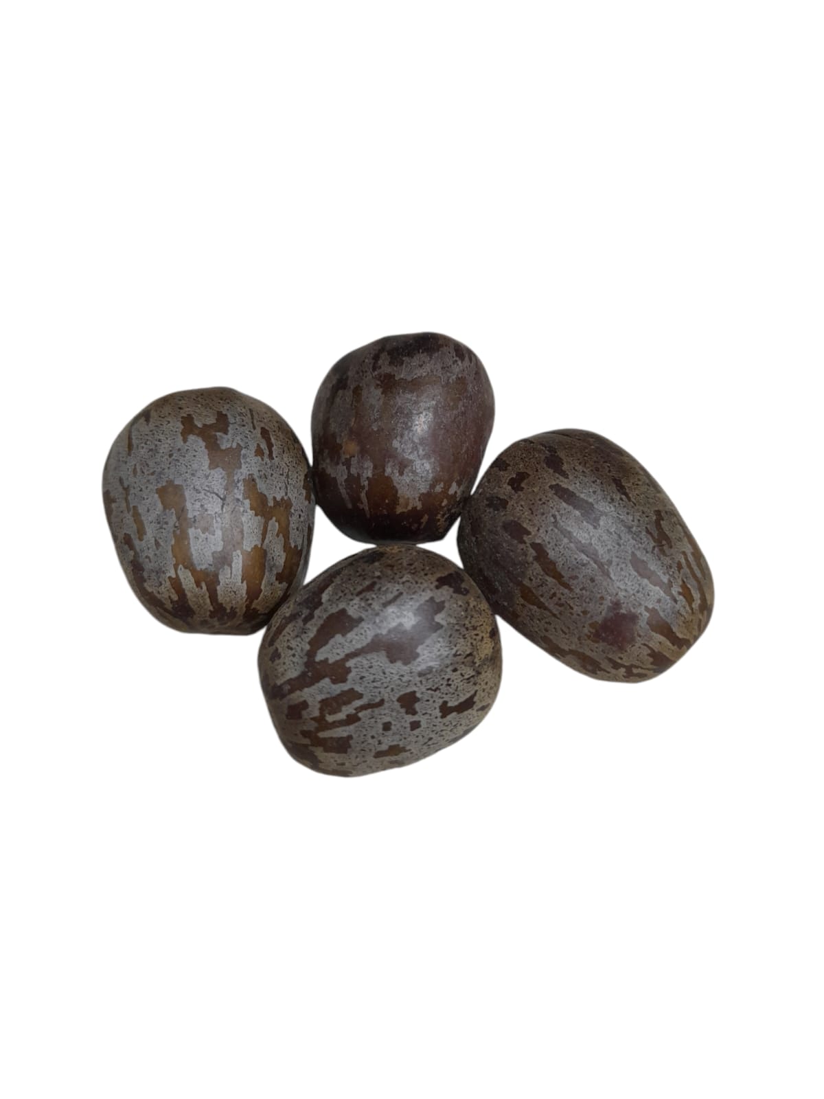 Fava Abaluaê (dz)