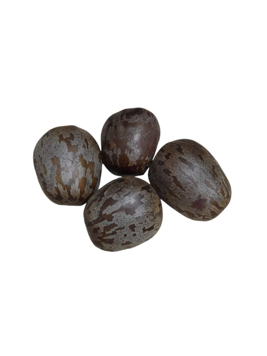 Fava Abaluaê (dz)