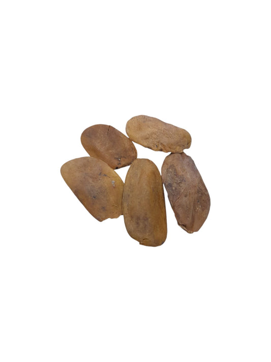 Fava Abere Oxum 100g