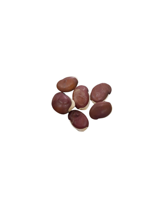 Fava Amarração (dz)