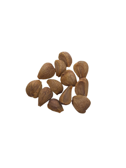 Fava Chama Freguês (dz)
