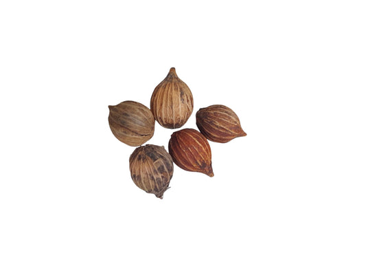 Fava Erê (dz)