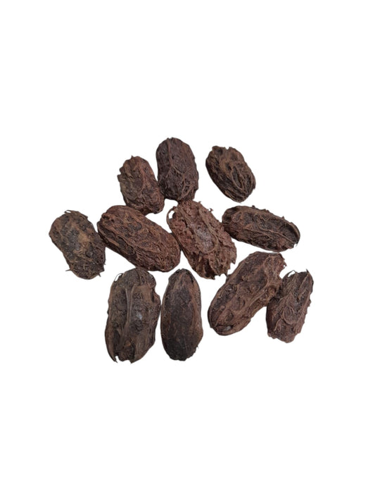Fava Exú (dz)