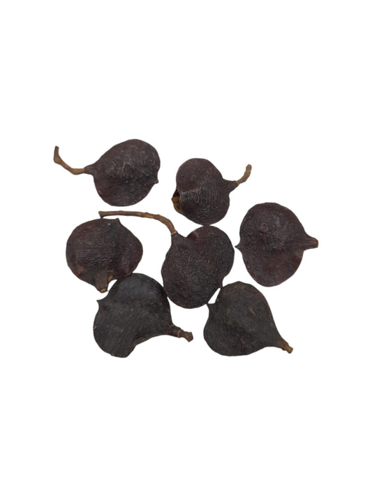Fava Fartura (dz)