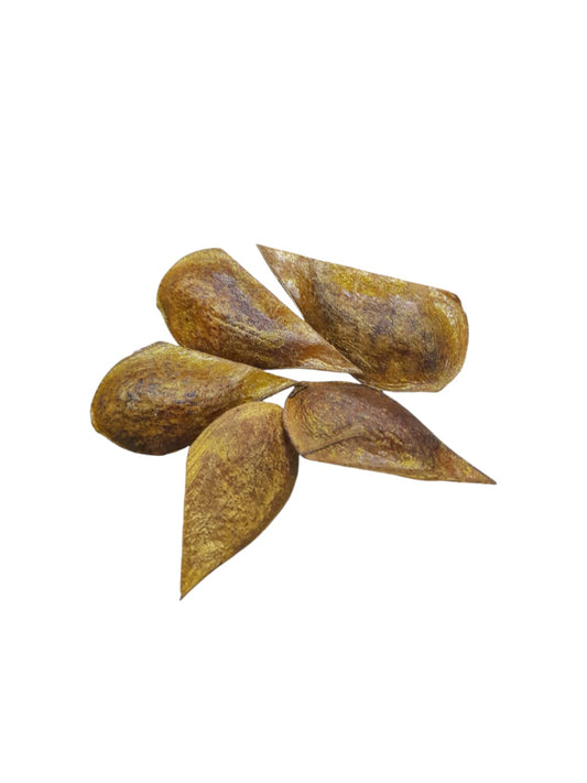 Fava Fortuna (dz)