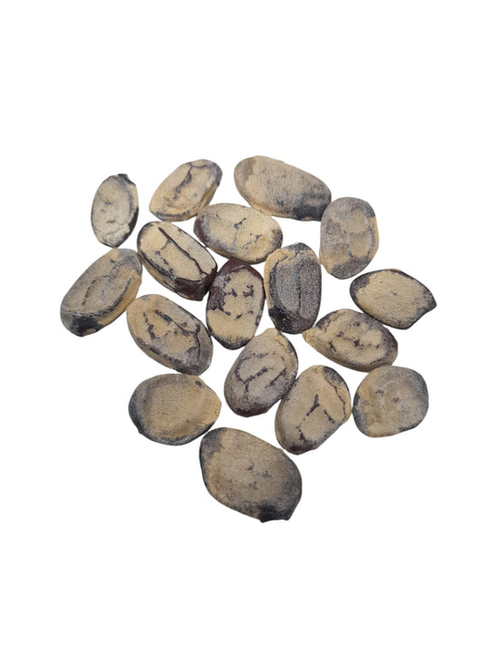 Fava Imburana 100g