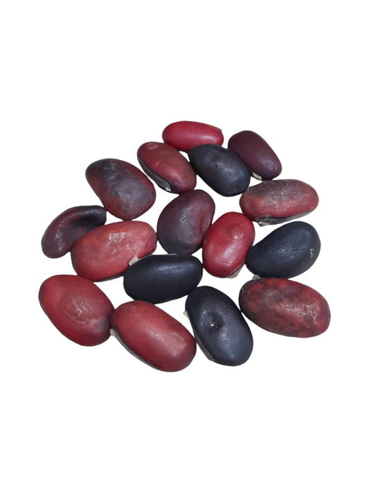 Fava Logum (dz)