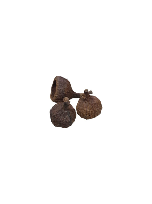 Fava Olho Grande (dz)