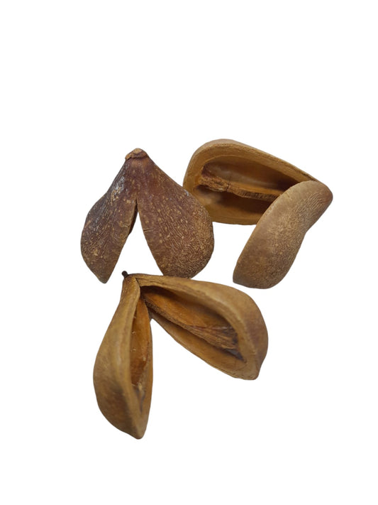 Fava Opele (dz)