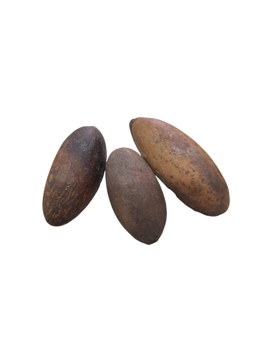 Fava Pixuri (dz)