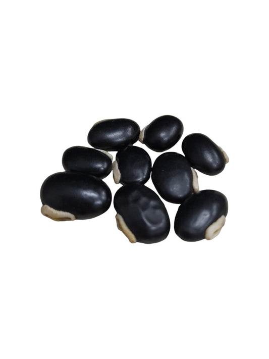 Fava Preto Velho (dz)