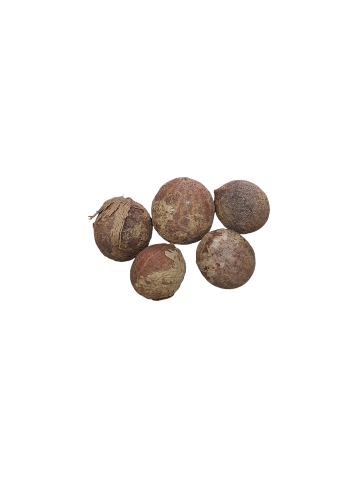 Fava Saúde (dz)