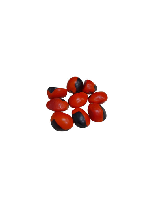 Fava Tento de Exú