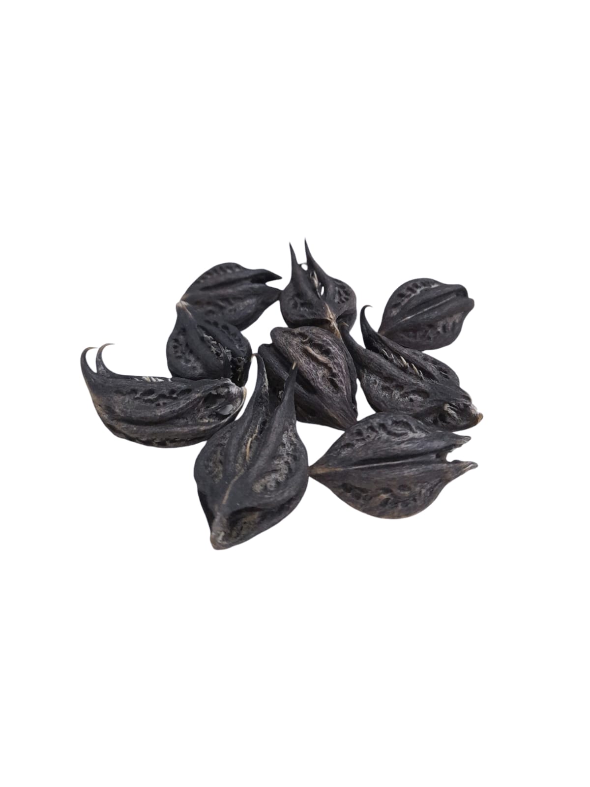 Fava Unha de Pomba Gira