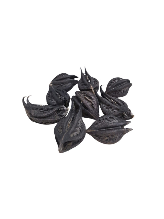 Fava Unha de Pomba Gira