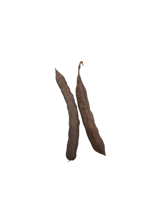 Fava Xoroquê
