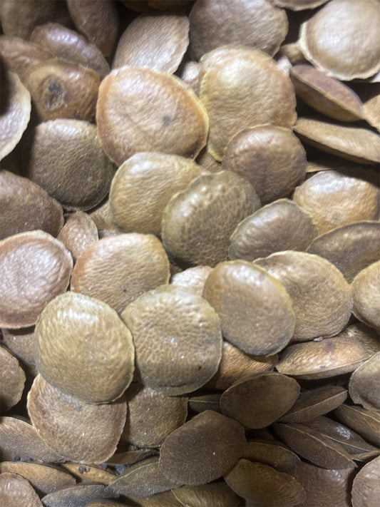 Fava Sucupira 100g