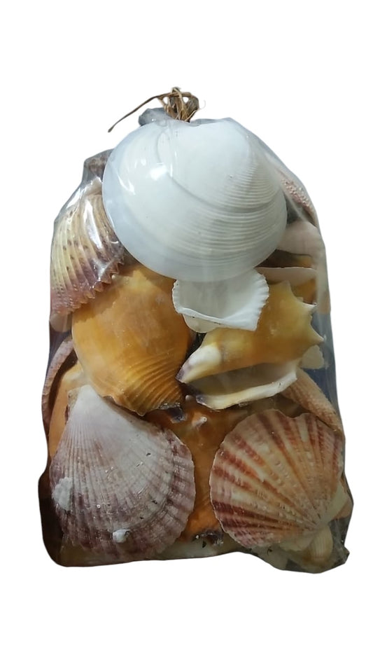 Conchas Mix Pacote Pequeno