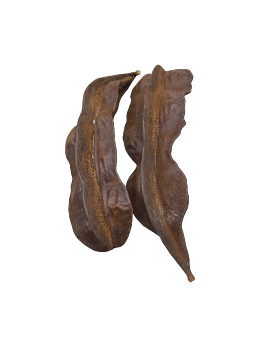 Fava Aridã