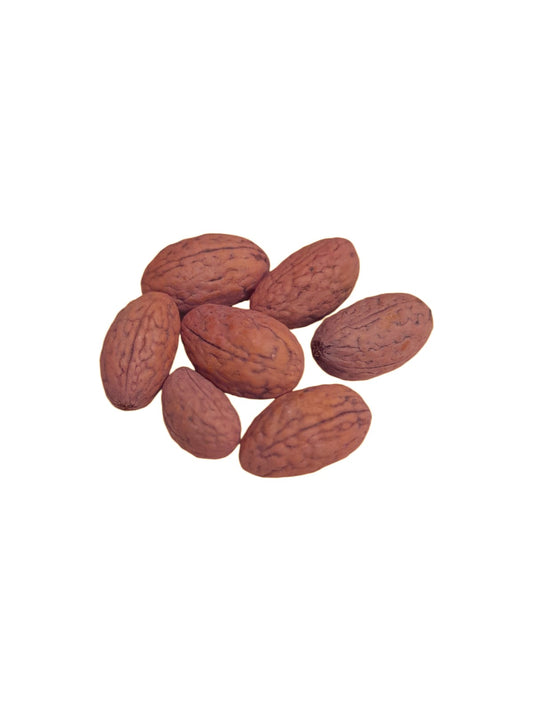 Fava Bara (dz)
