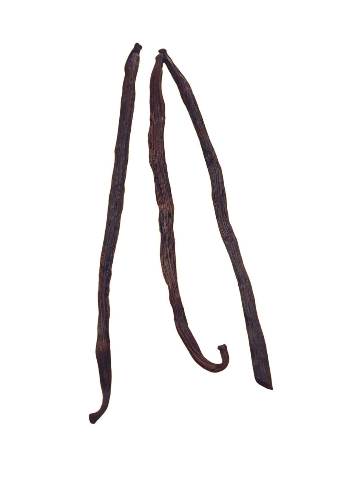 Fava Baunilha