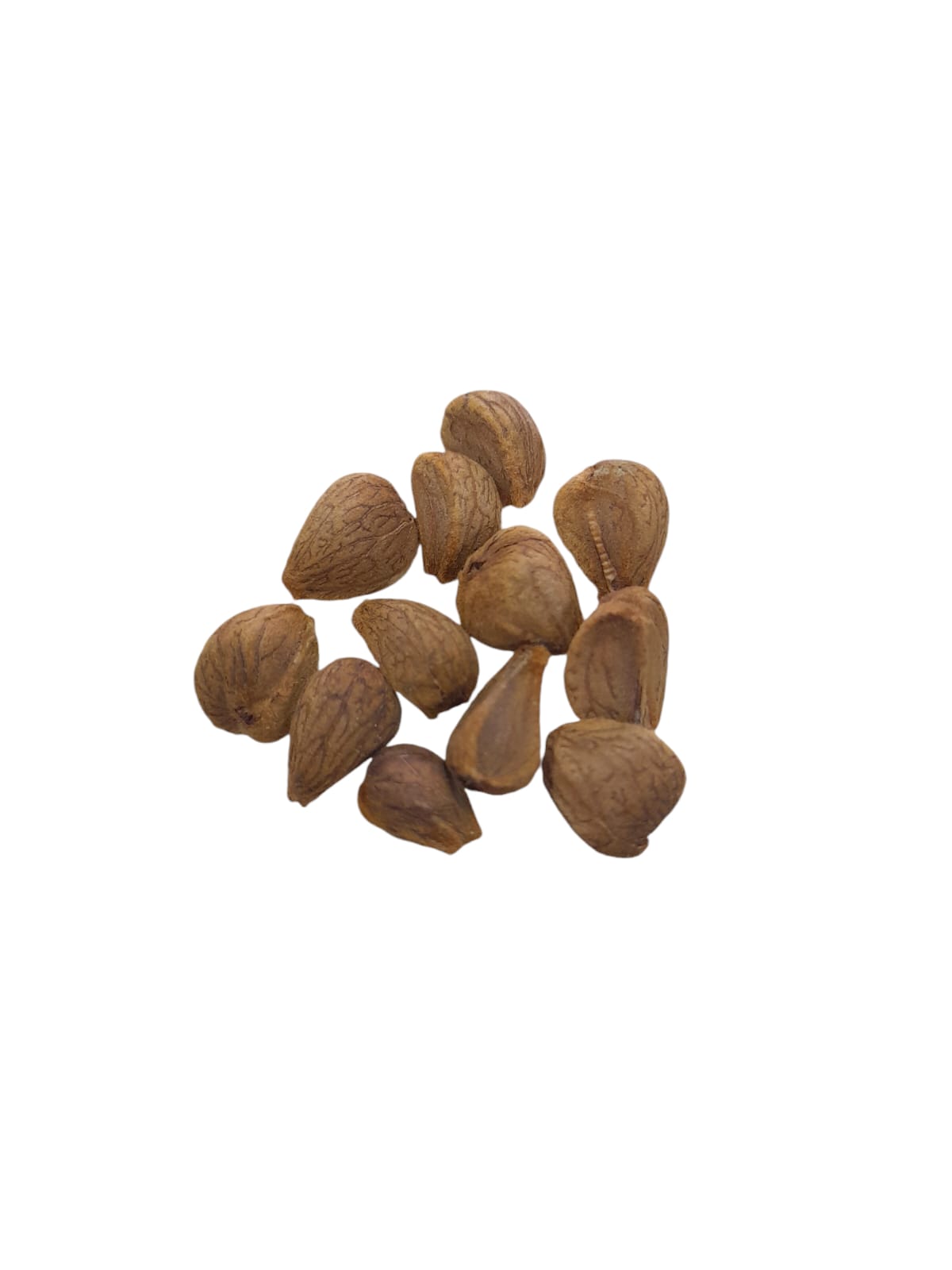 Fava Chama Freguês (dz)