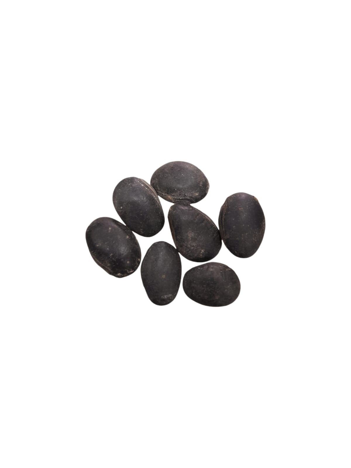 Fava Corta Inveja (dz)