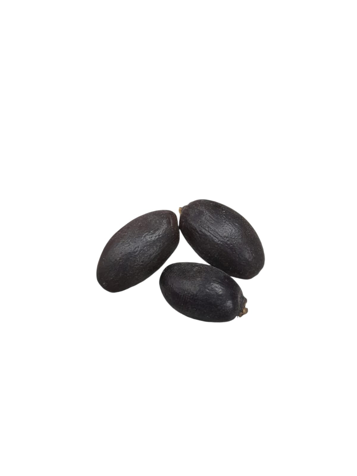 Fava Euá (dz)