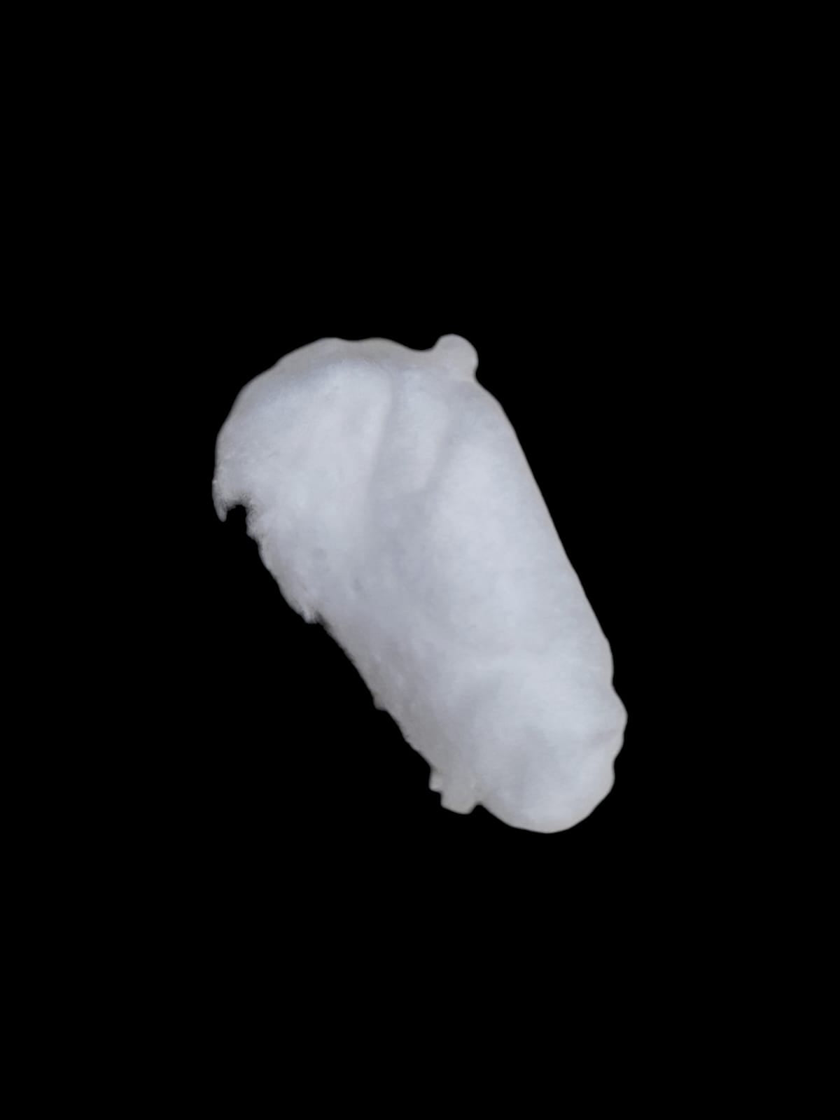 Fava Iemanjá (dz)