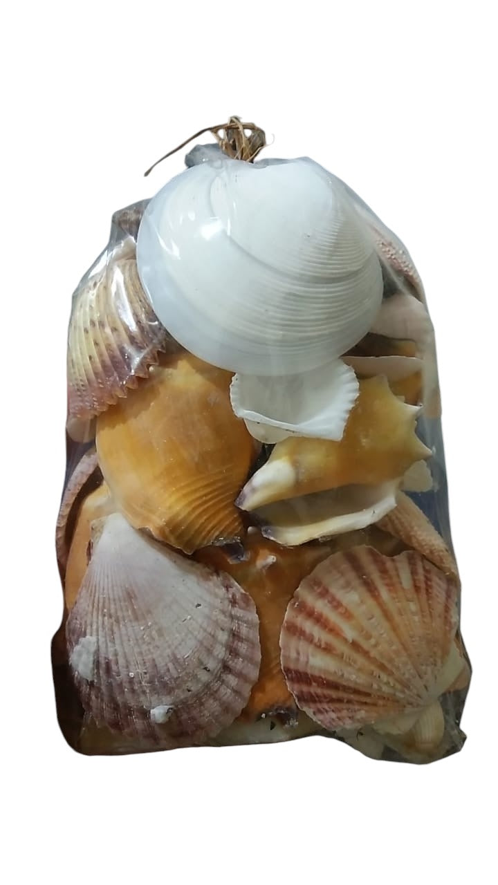 Conchas Mix Pacote Pequeno