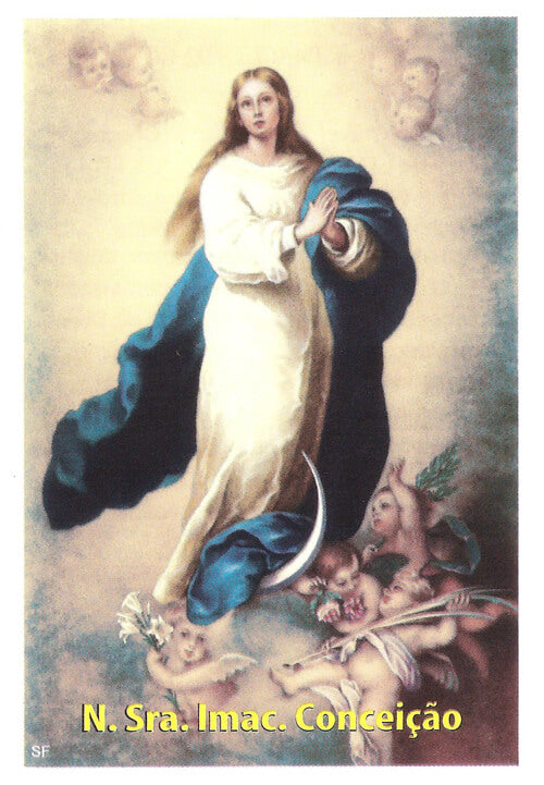 Oração Colorida N. S. Conceição