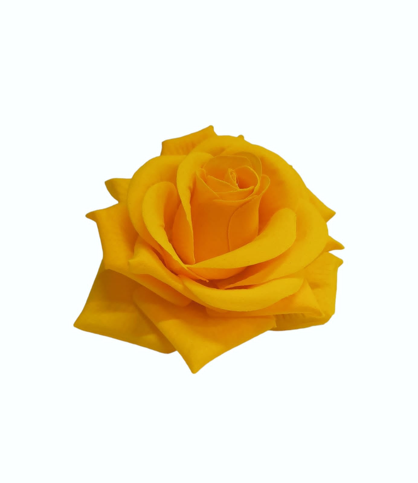 Rosa Pano Super Luxo